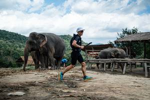 BIB: 
                            <button type="button" onclick="openModal(22423234)" class="btn btn-primary btn-sm float-right btn-popup" data-toggle="modal" data-target=".modal-high-quality">
                        <i class="fas fa-shopping-cart"></i> Add to Cart
                    </button>
                                            <button type="button" onclick="isThisMe(22423234, true)" class="btn btn-success btn-sm float-right btn-popup btn-isme hidden" data-toggle="tooltip" data-placement="bottom" title="นี่คือรูปของคุณใช่ไหม คลิกที่นี่เพื่อเอาเข้าอัลบั้ม">
                        <i class="fas fa-plus"></i> Add to album
                    </button>
                    <button type="button" onclick="isThisMe(22423234, false)" class="btn btn-warning btn-sm float-right btn-popup btn-isnotme hidden">
                        <i class="fas fa-ban"></i> Remove from album
                    </button>